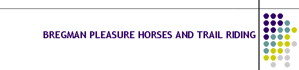 BREGMAN PLEASURE HORSES AND TRAIL RIDING